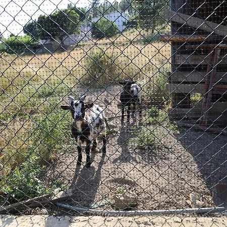 Rurais - Casas Do Lagar Çiftlik konaklama