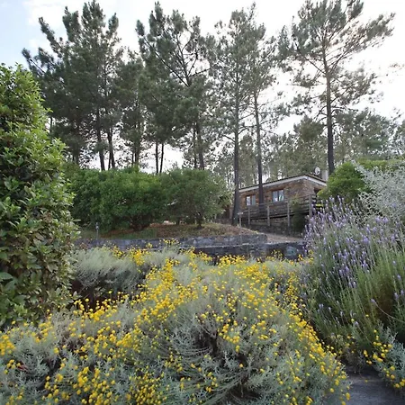 Rurais - Casas Do Lagar Farm stay Rosmaninhal (Santarem)