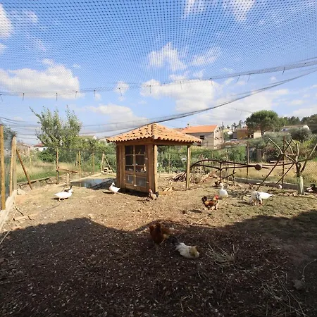 Rurais - Casas Do Lagar Rosmaninhal (Santarem)