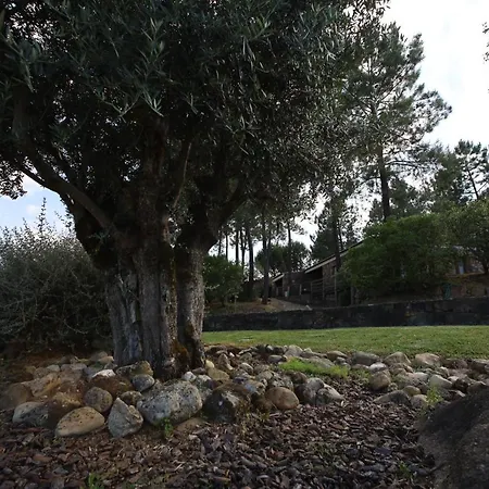 Rurais - Casas Do Lagar Çiftlik konaklama *