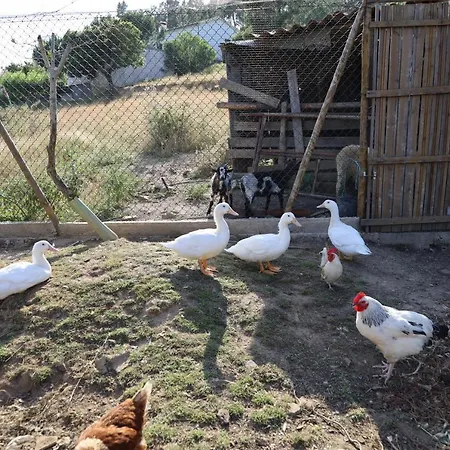 Rurais - Casas Do Lagar Rosmaninhal (Santarem)