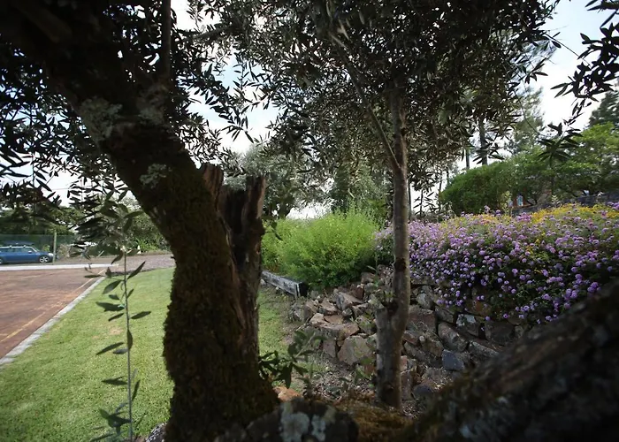 Rurais - Casas Do Lagar * Rosmaninhal (Santarem)