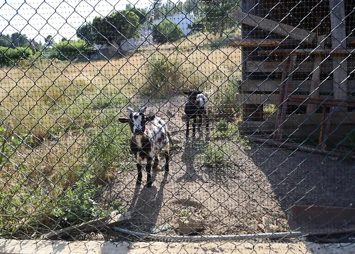 Rurais - Casas Do Lagar Alojamento de Turismo Rural