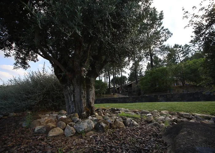 Rurais - Casas Do Lagar Alojamento de Turismo Rural *